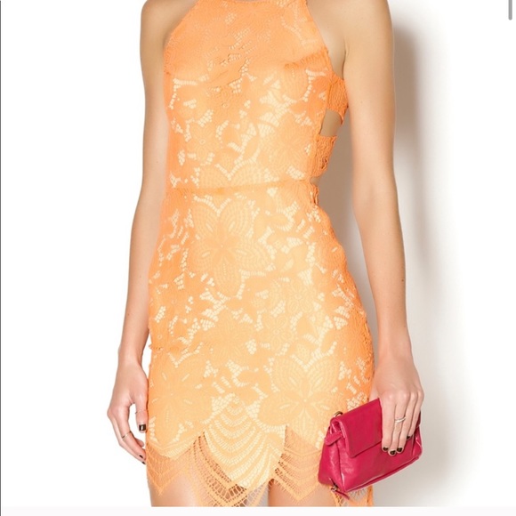 For love and lemons guava mini dress - Picture 4 of 5